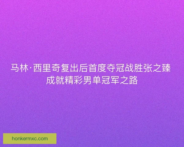 马林·西里奇复出后首度夺冠战胜张之臻 成就精彩男单冠军之路