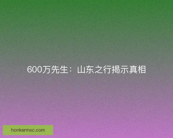 600万先生：山东之行揭示真相