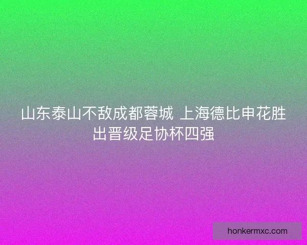 山东泰山不敌成都蓉城 上海德比申花胜出晋级足协杯四强